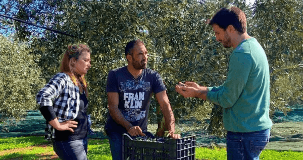 Felix von MANI im Olivenhain