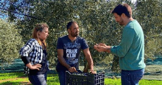 Felix von MANI im Olivenhain